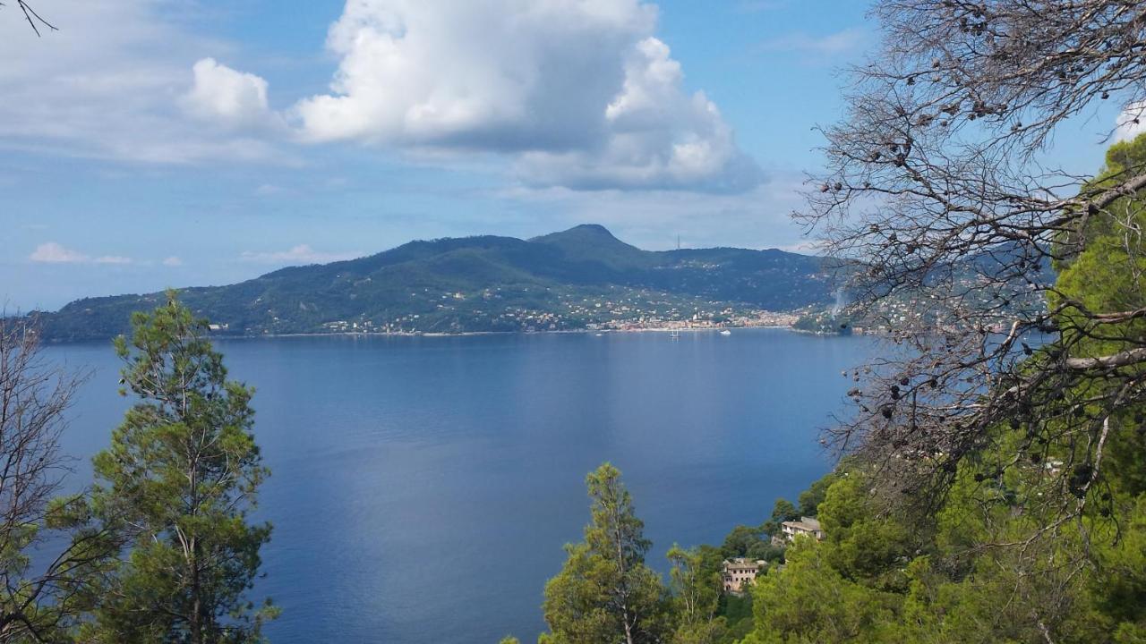 Vicino A Portofino E Alle Cinque Terre - Near Portofino And Cinque Terre Zoagli Extérieur photo